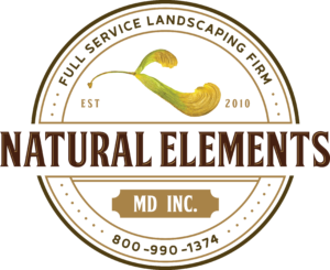 Natural Elements 2022